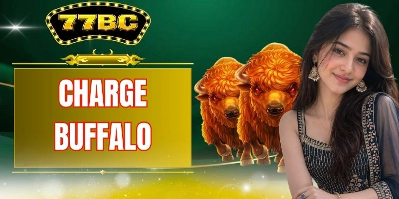 Charge Buffalo: 3 Special Features That Create Attraction
