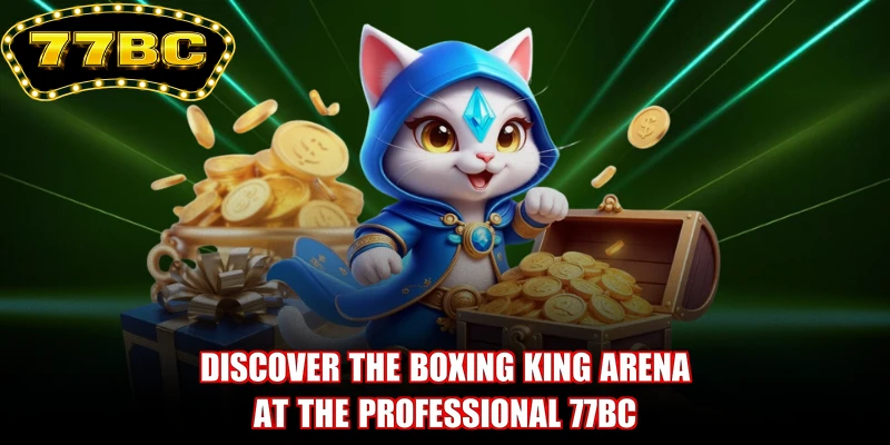 Discover the Boxing King arena at the professional 77BC